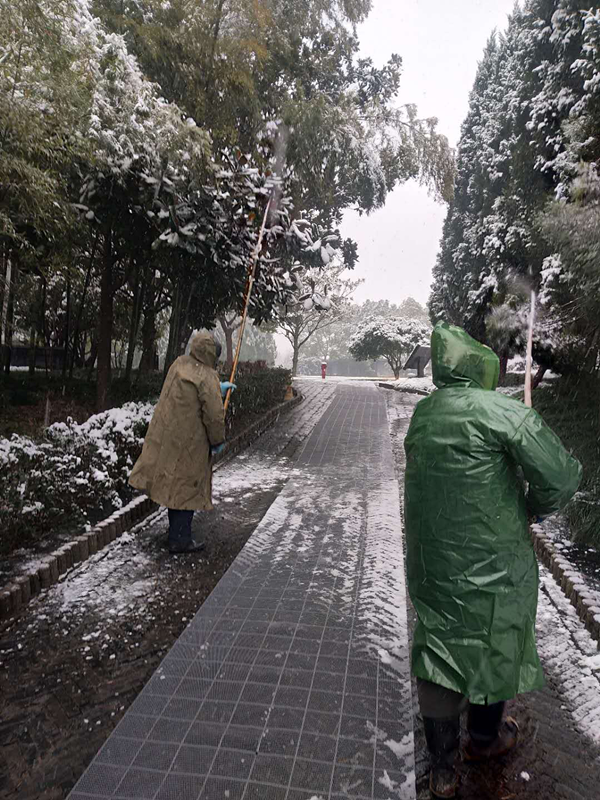 2019.01.09蜀冈唐子城风景区管理处全力做好抗雪防冻工作7_副本.png