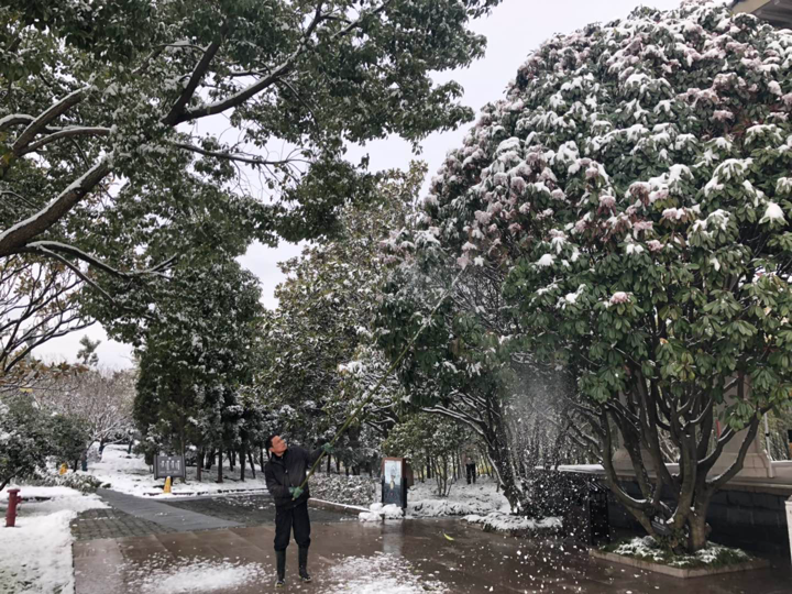 2019.02.09蜀冈唐子城风景区管理处积极应战冰雪天气6.png
