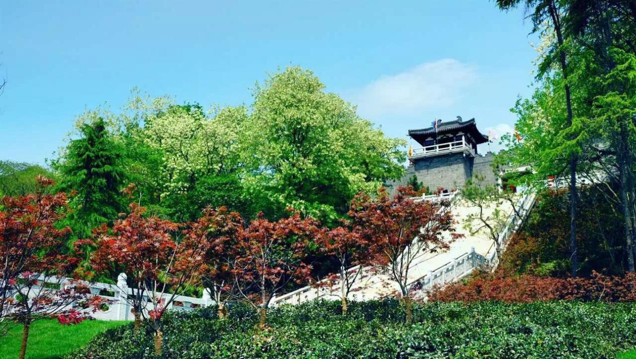 “汉唐小博士”海选活动正式启动！3.png