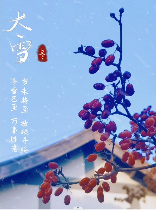 微信截图_20231207101731.jpg