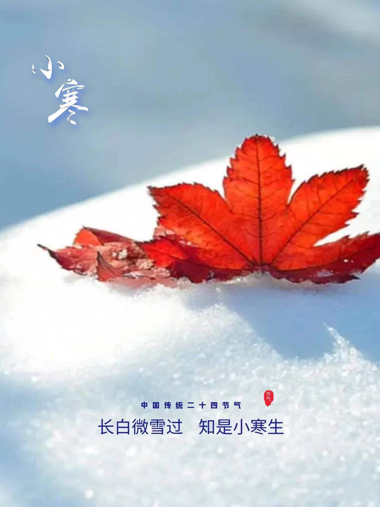 微信图片_20250105105545.jpg