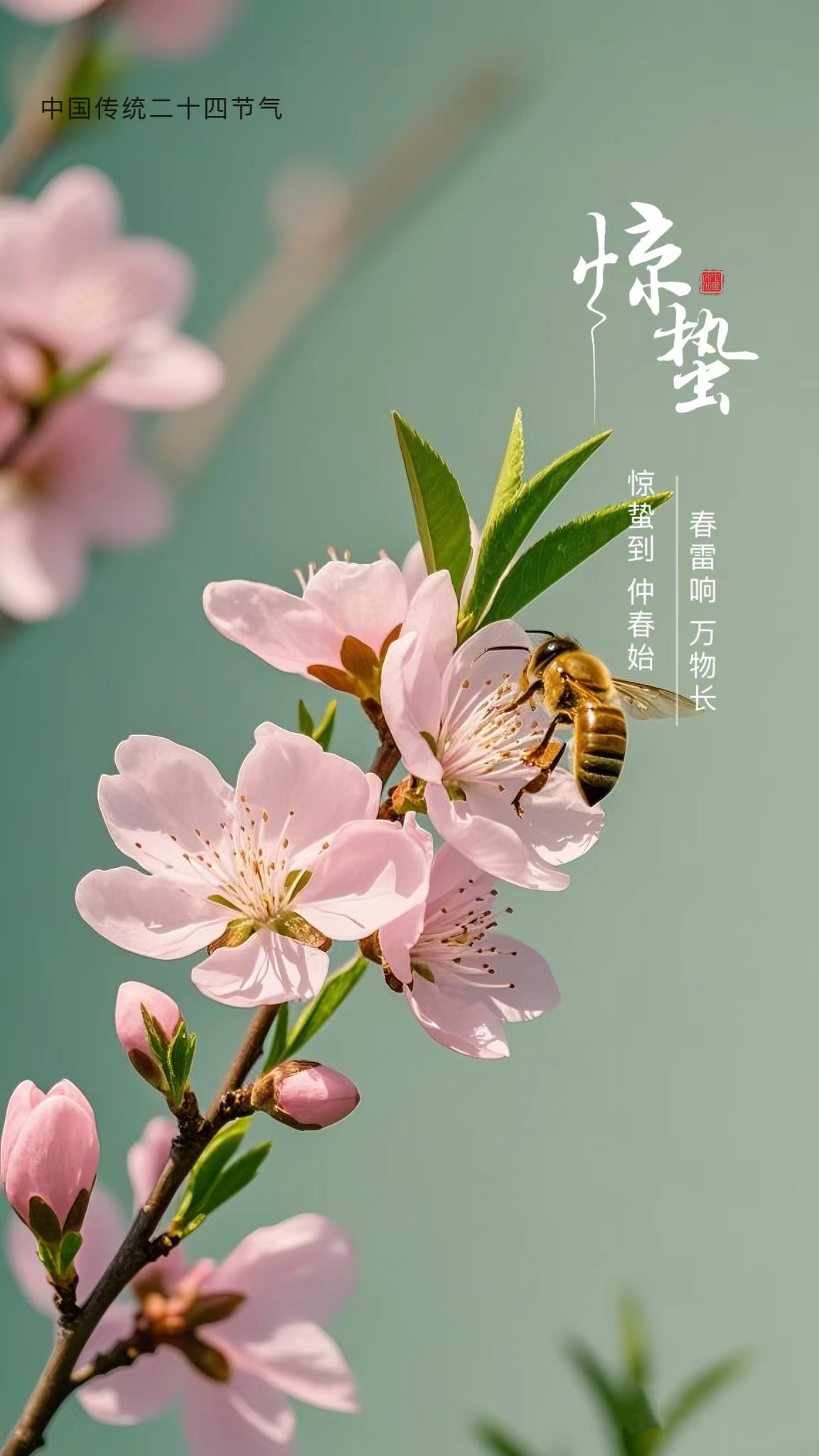 惊蛰.jpg