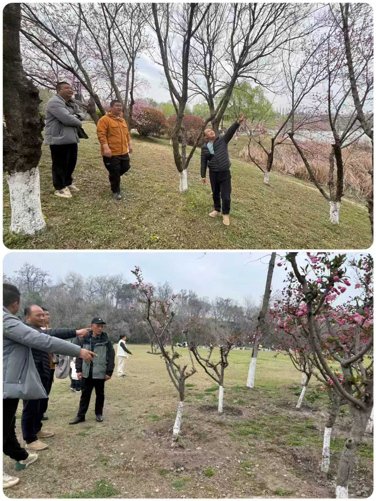 微信图片_20260328120551_134_141.jpg