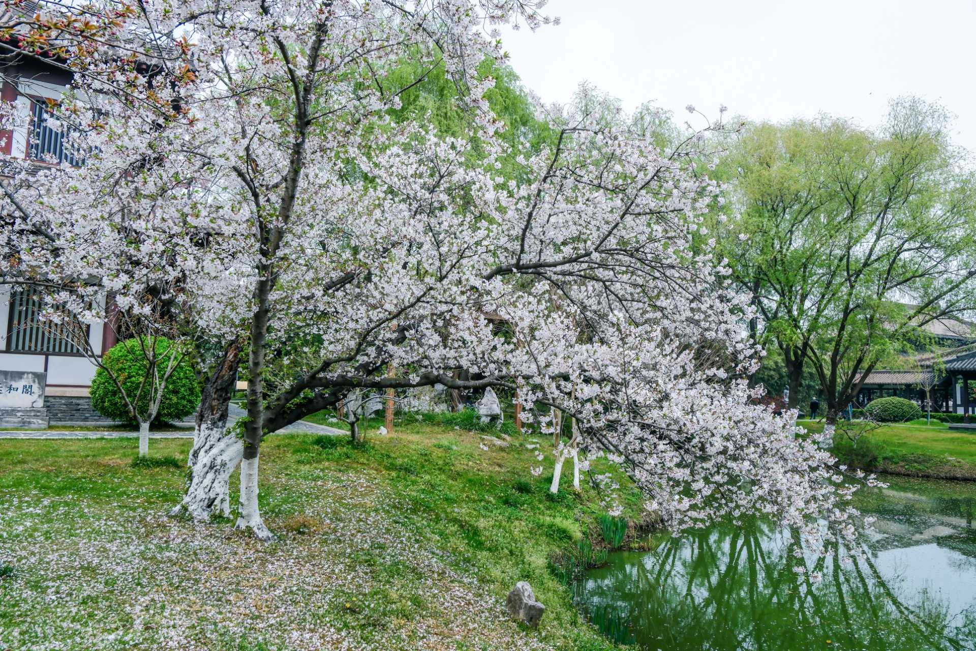 微信图片_20260401170751_148_141.jpg