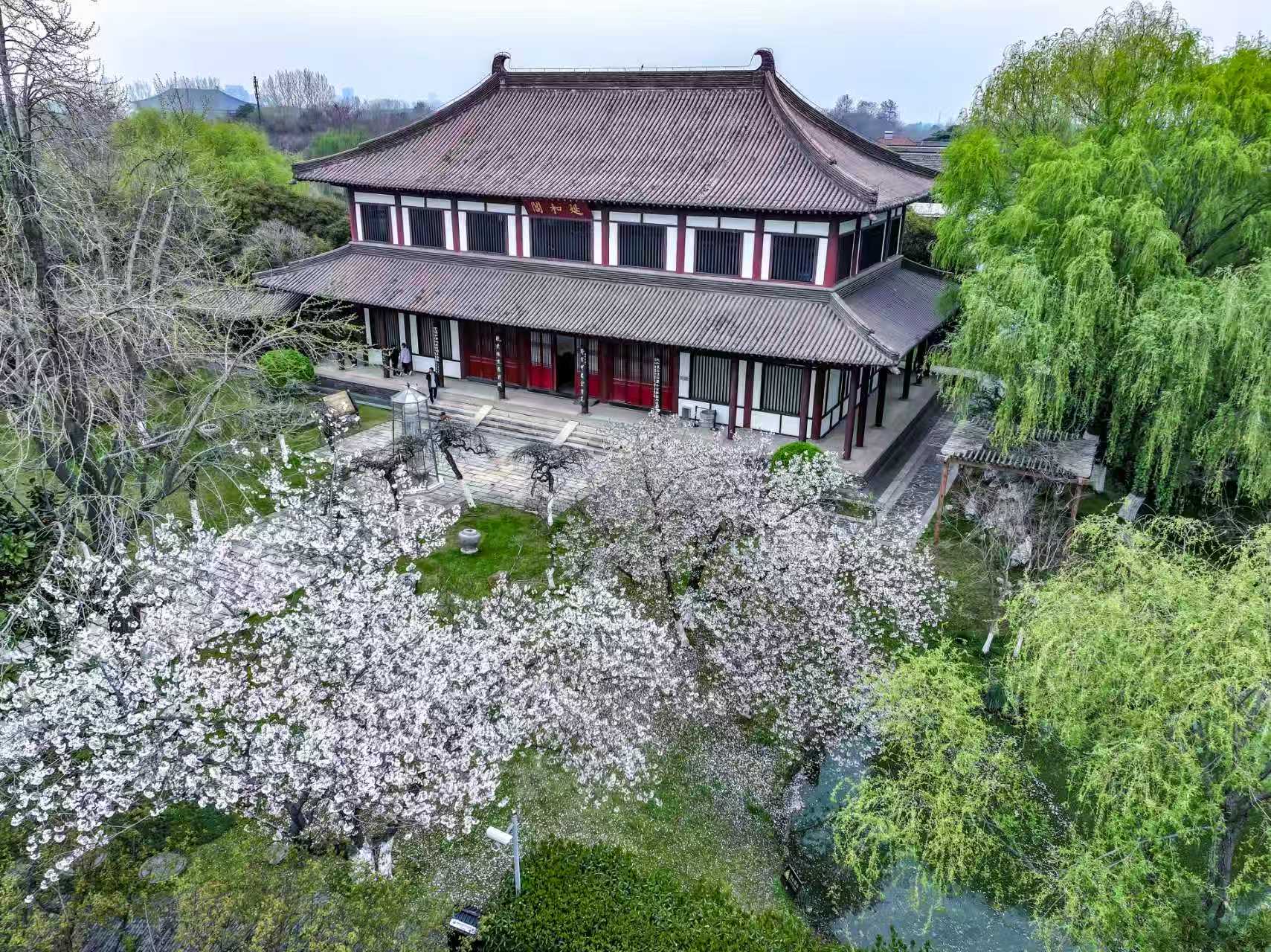 微信图片_20260401171639_165_141.jpg
