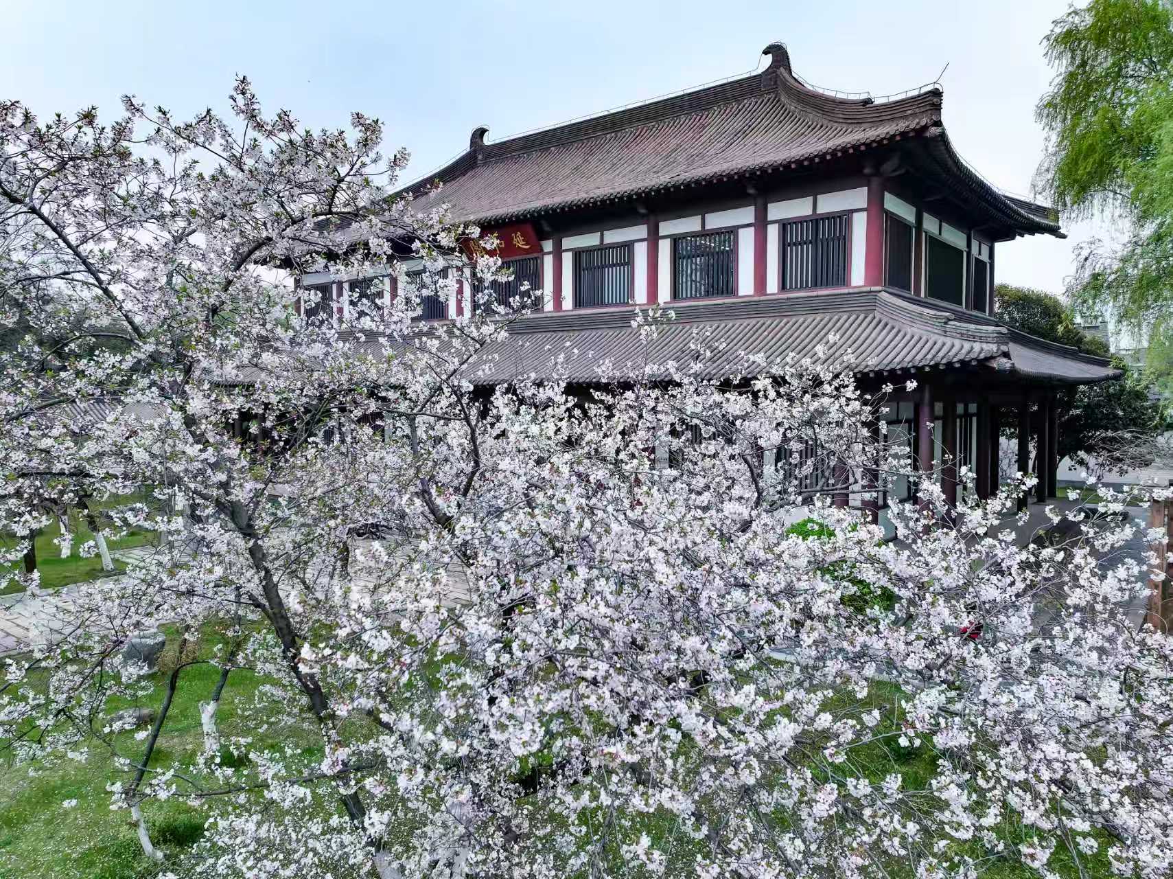微信图片_20260401171642_166_141.jpg