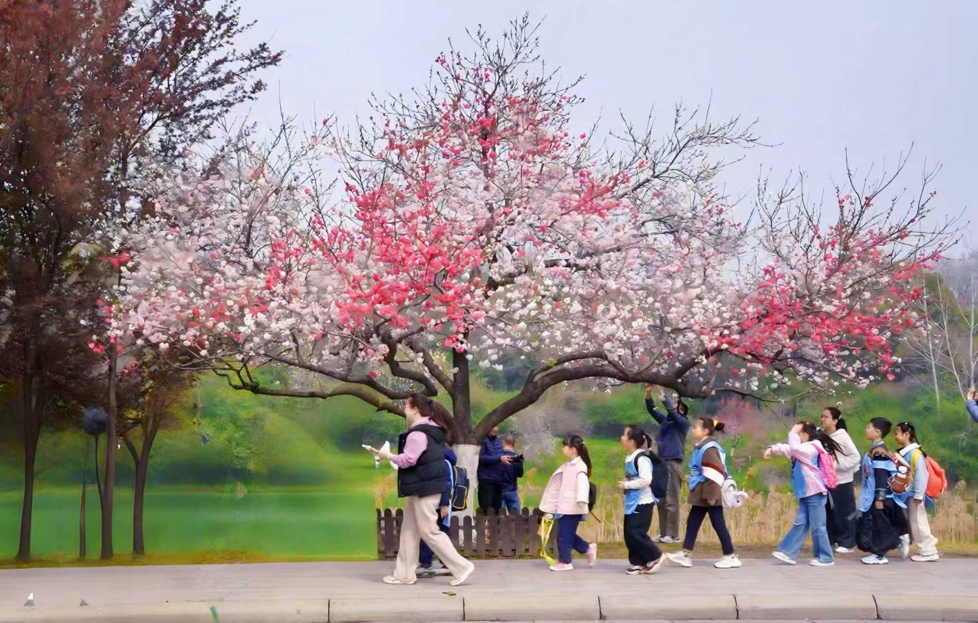 微信图片_20260402162234_280_263.jpg